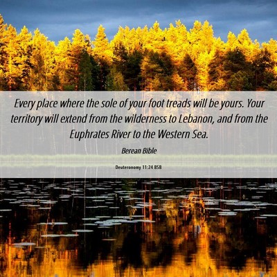 Picture 06 - Deuteronomy 11:24 BSB - Every place where the sole of your foot treads - Bible Verse Picture