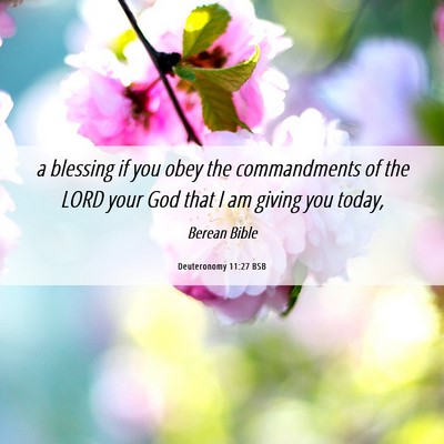 Picture 06 - Deuteronomy 11:27 BSB - a blessing if you obey the commandments of the - Bible Verse Picture