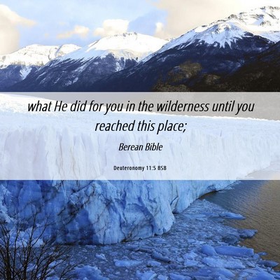 Picture 06 - Deuteronomy 11:5 BSB - what He did for you in the wilderness until you - Bible Verse Picture