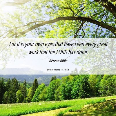 Picture 06 - Deuteronomy 11:7 BSB - For it is your own eyes that have seen every - Bible Verse Picture