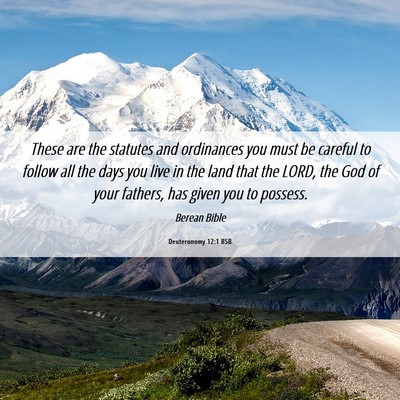 Picture 06 - Deuteronomy 12:1 BSB - These are the statutes and ordinances you must be - Bible Verse Picture
