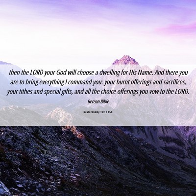 Picture 06 - Deuteronomy 12:11 BSB - then the LORD your God will choose a dwelling for - Bible Verse Picture