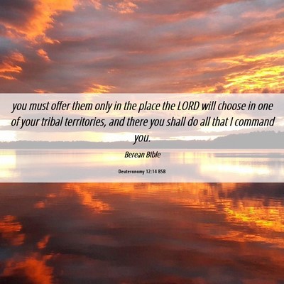 Picture 06 - Deuteronomy 12:14 BSB - you must offer them only in the place the LORD - Bible Verse Picture