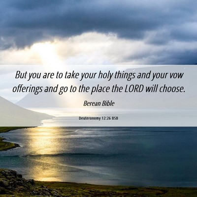 Picture 06 - Deuteronomy 12:26 BSB - But you are to take your holy things and your vow - Bible Verse Picture