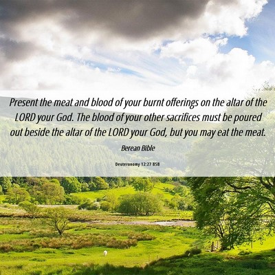 Picture 06 - Deuteronomy 12:27 BSB - Present the meat and blood of your burnt - Bible Verse Picture
