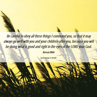 Picture 06 - Deuteronomy 12:28 BSB - Be careful to obey all these things I command - Bible Verse Picture