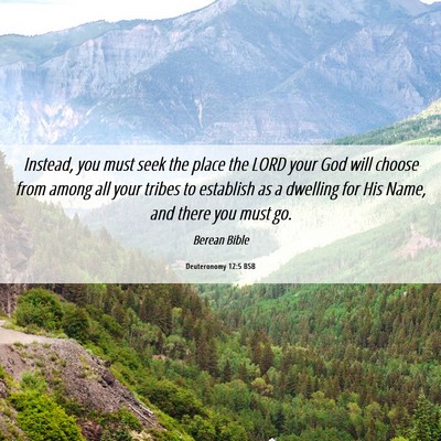 Picture 06 - Deuteronomy 12:5 BSB - Instead, you must seek the place the LORD your - Bible Verse Picture