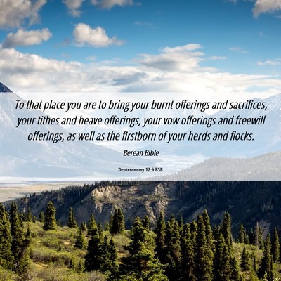 Picture 06 - Deuteronomy 12:6 BSB - To that place you are to bring your burnt - Bible Verse Picture