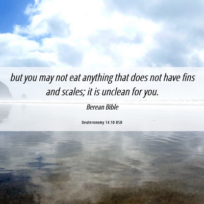 Picture 06 - Deuteronomy 14:10 BSB - but you may not eat anything that does not have - Bible Verse Picture