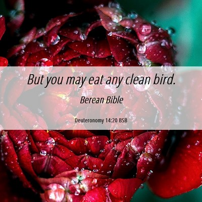 Picture 06 - Deuteronomy 14:20 BSB - But you may eat any clean - Bible Verse Picture