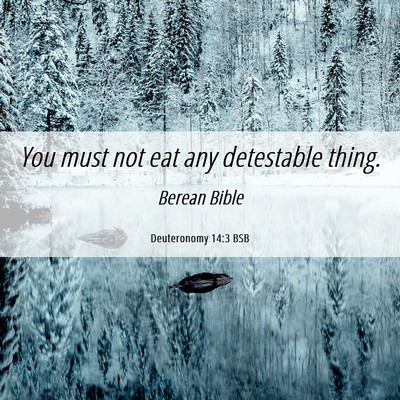 Picture 06 - Deuteronomy 14:3 BSB - You must not eat any detestable - Bible Verse Picture