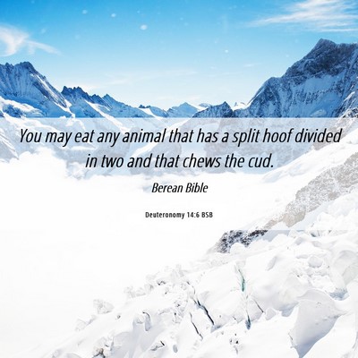 Picture 06 - Deuteronomy 14:6 BSB - You may eat any animal that has a split hoof - Bible Verse Picture