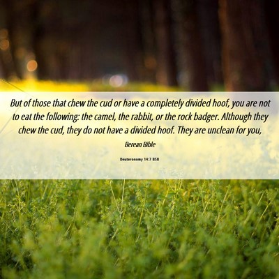 Picture 06 - Deuteronomy 14:7 BSB - But of those that chew the cud or have a - Bible Verse Picture