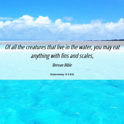 Picture 06 - Deuteronomy 14:9 BSB - Of all the creatures that live in the water, you - Bible Verse Picture