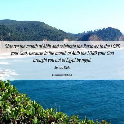Picture 06 - Deuteronomy 16:1 BSB - Observe the month of Abib and celebrate the - Bible Verse Picture