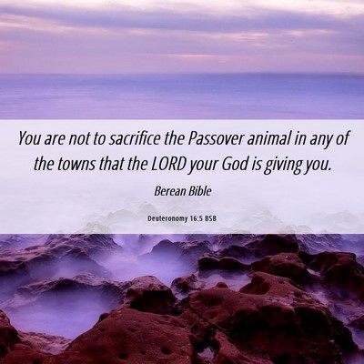 Picture 06 - Deuteronomy 16:5 BSB - You are not to sacrifice the Passover animal in - Bible Verse Picture