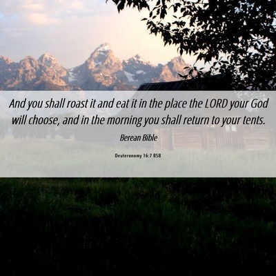 Picture 06 - Deuteronomy 16:7 BSB - And you shall roast it and eat it in the place - Bible Verse Picture