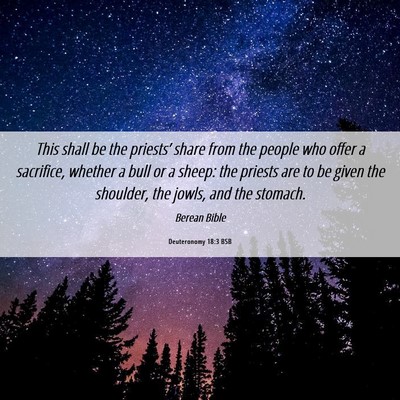 Picture 06 - Deuteronomy 18:3 BSB - This shall be the priests’ share from the - Bible Verse Picture