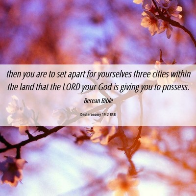 Picture 06 - Deuteronomy 19:2 BSB - then you are to set apart for yourselves three - Bible Verse Picture