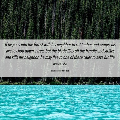 Picture 06 - Deuteronomy 19:5 BSB - If he goes into the forest with his neighbor to - Bible Verse Picture