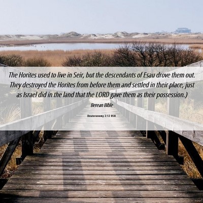 Picture 06 - Deuteronomy 2:12 BSB - The Horites used to live in Seir, but the - Bible Verse Picture