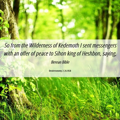 Picture 06 - Deuteronomy 2:26 BSB - So from the Wilderness of Kedemoth I sent - Bible Verse Picture