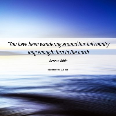 Picture 06 - Deuteronomy 2:3 BSB - “You have been wandering around this hill - Bible Verse Picture