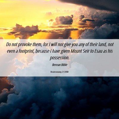 Picture 06 - Deuteronomy 2:5 BSB - Do not provoke them, for I will not give you any - Bible Verse Picture