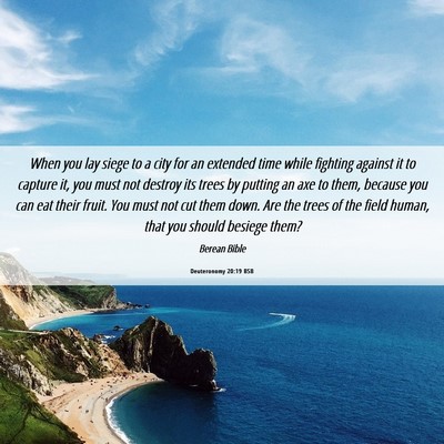 Picture 06 - Deuteronomy 20:19 BSB - When you lay siege to a city for an extended time - Bible Verse Picture