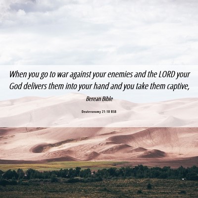 Picture 06 - Deuteronomy 21:10 BSB - When you go to war against your enemies and the - Bible Verse Picture