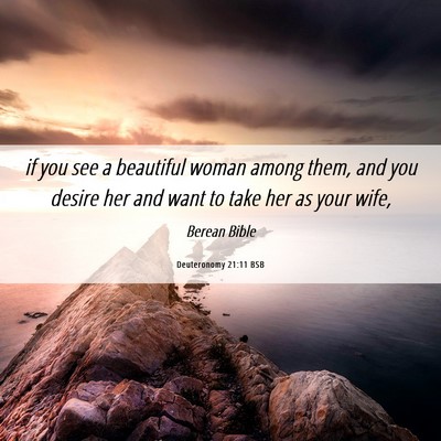 Picture 06 - Deuteronomy 21:11 BSB - if you see a beautiful woman among them, and you - Bible Verse Picture