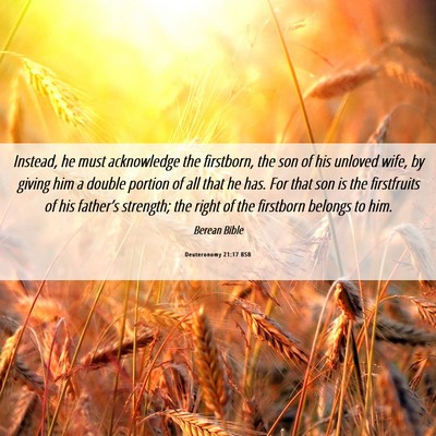 Picture 06 - Deuteronomy 21:17 BSB - Instead, he must acknowledge the firstborn, the - Bible Verse Picture