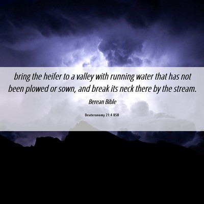 Picture 06 - Deuteronomy 21:4 BSB - bring the heifer to a valley with running water - Bible Verse Picture