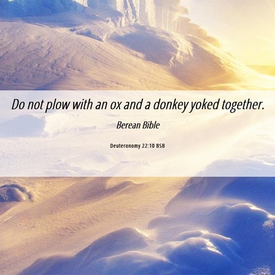 Picture 06 - Deuteronomy 22:10 BSB - Do not plow with an ox and a donkey yoked - Bible Verse Picture