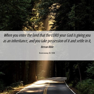 Picture 06 - Deuteronomy 26:1 BSB - When you enter the land that the LORD your God is - Bible Verse Picture