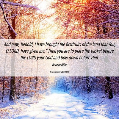 Picture 06 - Deuteronomy 26:10 BSB - And now, behold, I have brought the firstfruits - Bible Verse Picture
