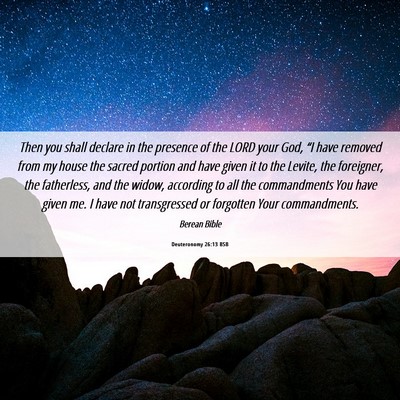 Picture 06 - Deuteronomy 26:13 BSB - Then you shall declare in the presence of the - Bible Verse Picture