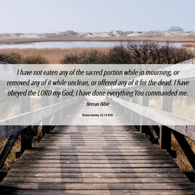 Picture 06 - Deuteronomy 26:14 BSB - I have not eaten any of the sacred portion while - Bible Verse Picture
