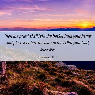 Picture 06 - Deuteronomy 26:4 BSB - Then the priest shall take the basket from your - Bible Verse Picture