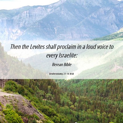 Picture 06 - Deuteronomy 27:14 BSB - Then the Levites shall proclaim in a loud voice - Bible Verse Picture