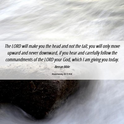 Picture 06 - Deuteronomy 28:13 BSB - The LORD will make you the head and not the tail; - Bible Verse Picture