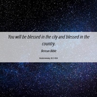 Picture 06 - Deuteronomy 28:3 BSB - You will be blessed in the city and blessed in - Bible Verse Picture