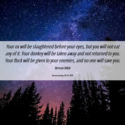 Picture 06 - Deuteronomy 28:31 BSB - Your ox will be slaughtered before your eyes, but - Bible Verse Picture
