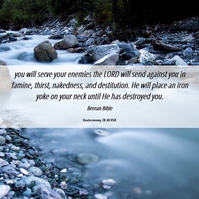 Picture 06 - Deuteronomy 28:48 BSB - you will serve your enemies the LORD will send - Bible Verse Picture