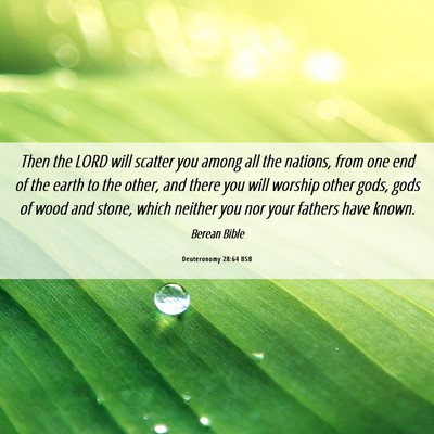 Picture 06 - Deuteronomy 28:64 BSB - Then the LORD will scatter you among all the - Bible Verse Picture