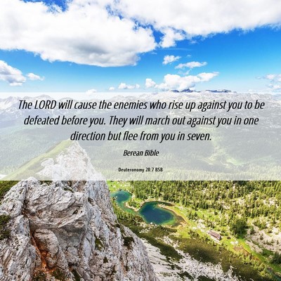 Picture 06 - Deuteronomy 28:7 BSB - The LORD will cause the enemies who rise up - Bible Verse Picture