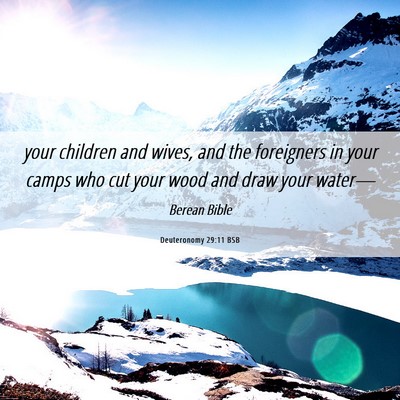 Picture 06 - Deuteronomy 29:11 BSB - your children and wives, and the foreigners in - Bible Verse Picture