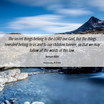 Picture 06 - Deuteronomy 29:29 BSB - The secret things belong to the LORD our God, but - Bible Verse Picture