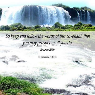 Picture 06 - Deuteronomy 29:9 BSB - So keep and follow the words of this covenant, - Bible Verse Picture