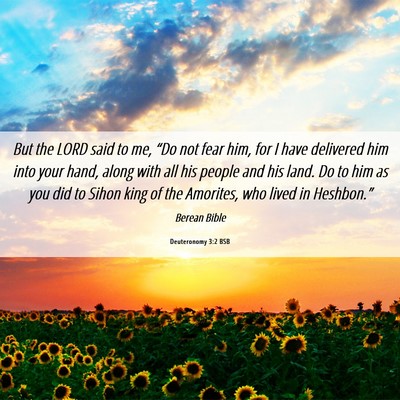Picture 06 - Deuteronomy 3:2 BSB - But the LORD said to me, “Do not fear him, for - Bible Verse Picture